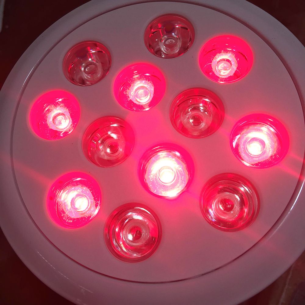 مساعدة حرق واجب منزلي لمبات اضاءة حمرا Shanonroute Com