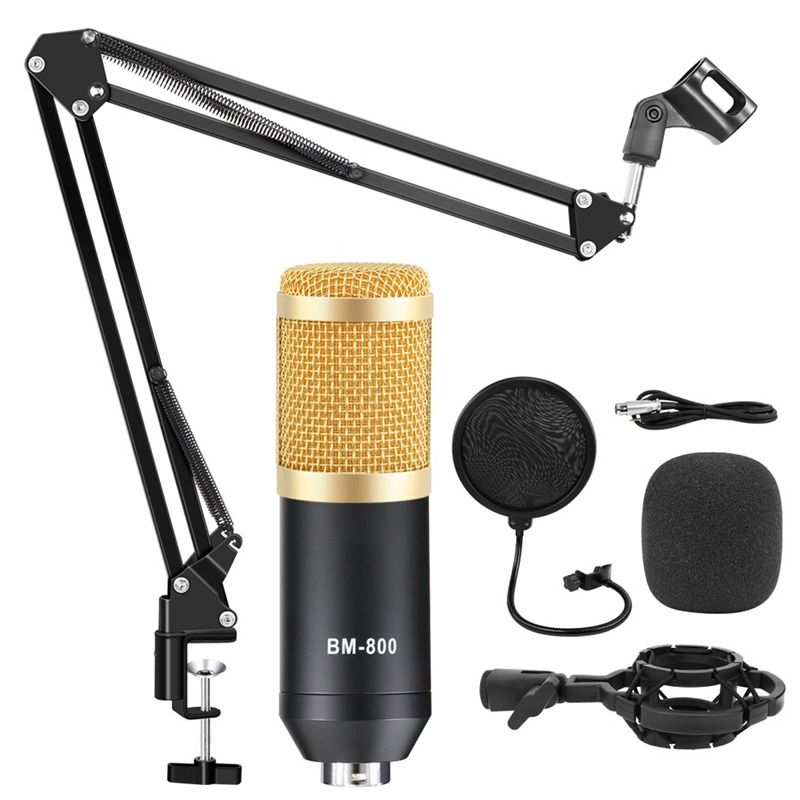 Microphone BM 800