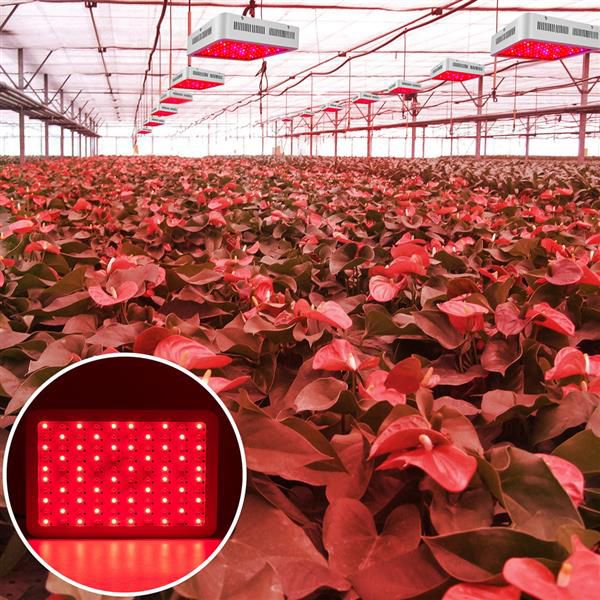 1500W 높은 강도 LED 듀얼 칩 380-730nm 전체 빛 스펙트럼 LED 식물 성장 램프 화이트 성장 조명