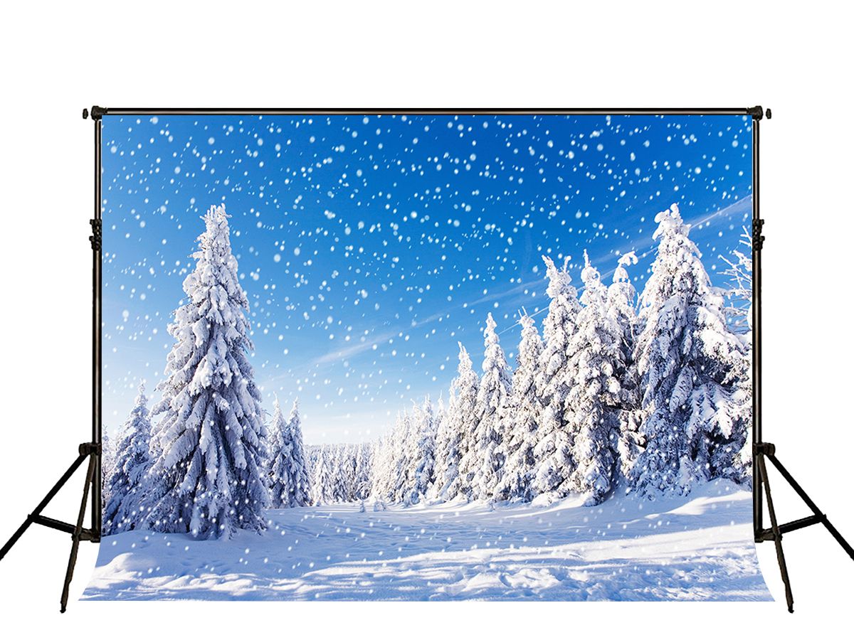 Funnytree 7x5ft Winter Wonderland Theme Backdrop for Blue Boy Baby Shower  Birthday Party Christmas Snowflake Snow Landscape Photography Background