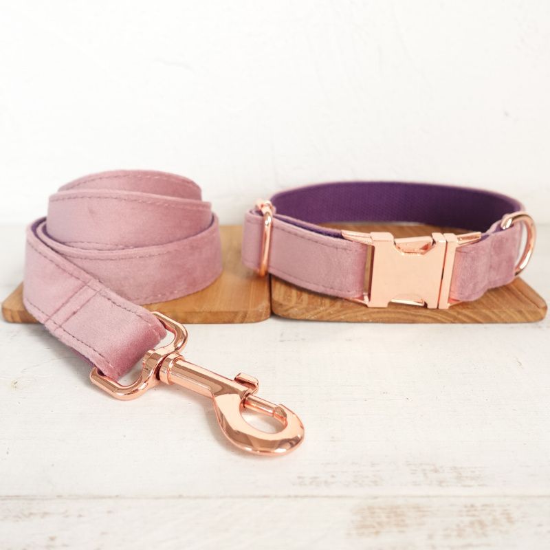 Hundehalsband-Leine-Set