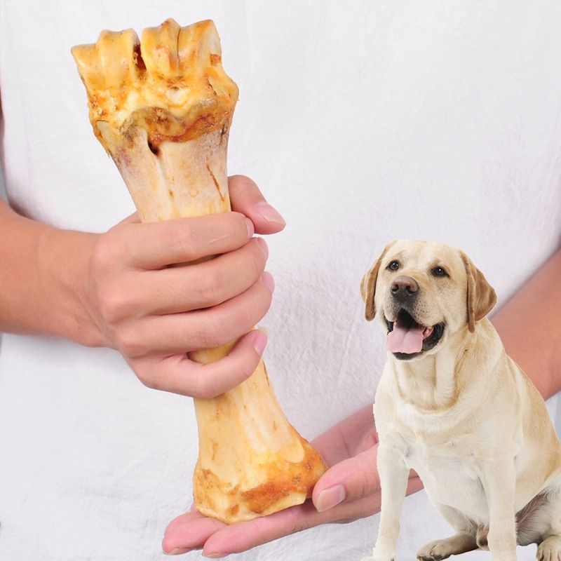 indestructible dog bone