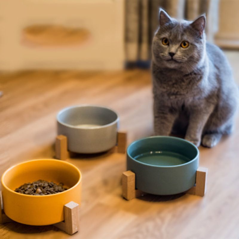 ceramic cat feeder
