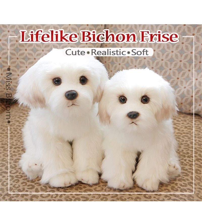 Compra Blanco Maltes Cachorro Peluche Juguete Lindo Peluche Simulacion De Perro Mascota Bichon Peluche Peluche Bebe Muneca Regalo De Cumpleanos Para Ninos Foto Prop 1210 Barato Entrega Rapida Y Calidad Es Dhgate