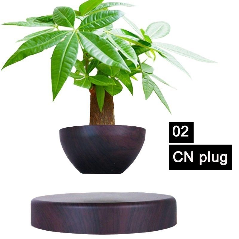 02 CN plug