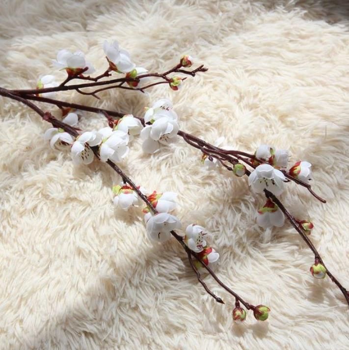 # 1 Cherry Plum Blossom Branch