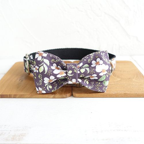 Dog Collar Papillon