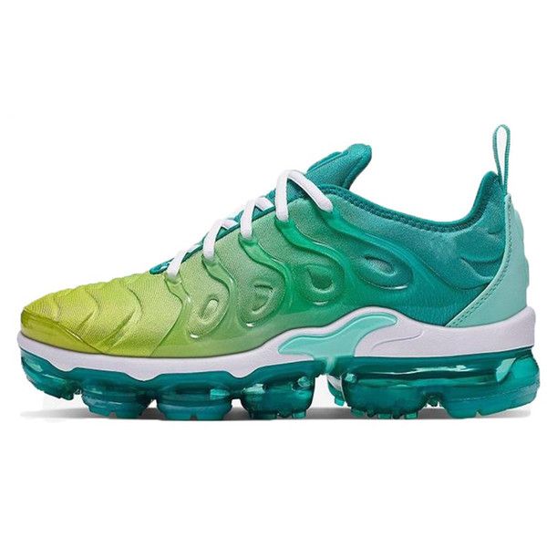 dhgate vapormax plus review