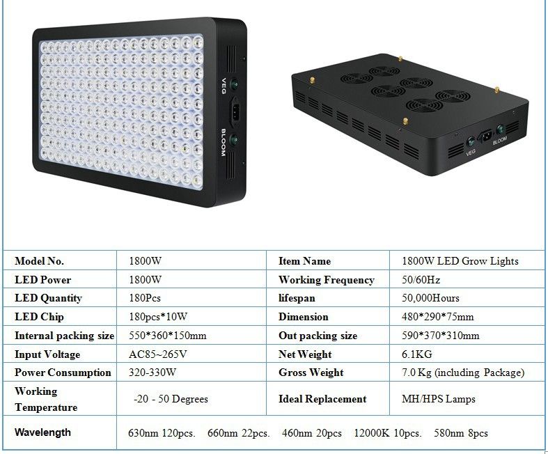 1800W message Plug