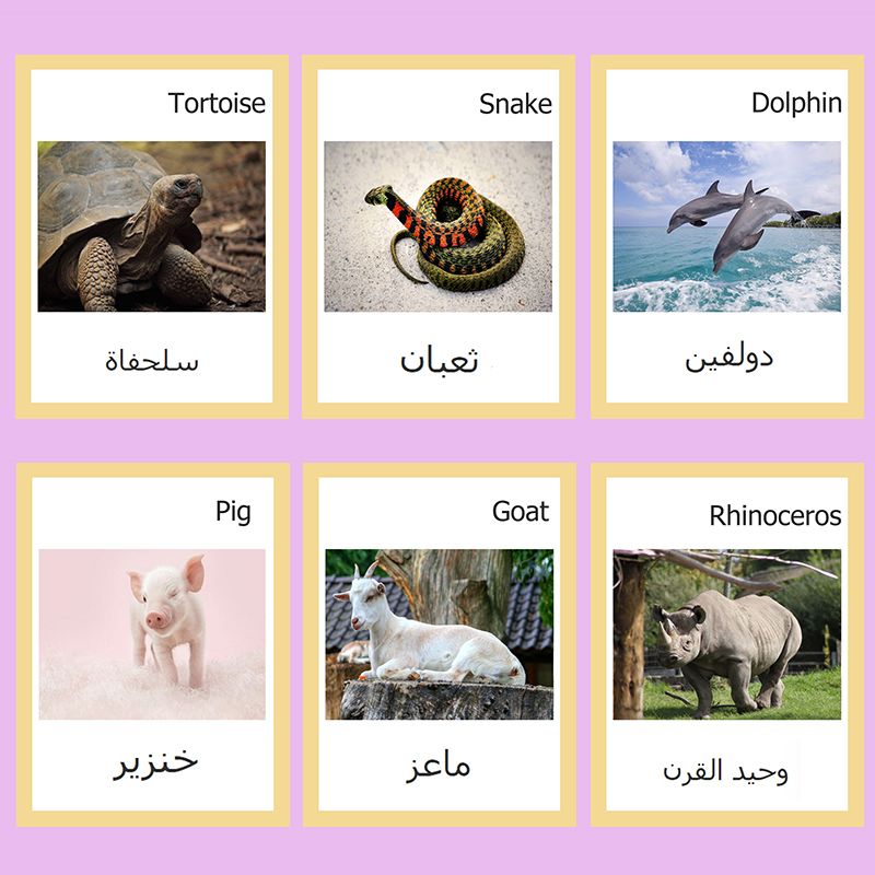Kids Arabic Flashcards Animals Learning Arabic Flash Cards English Word Cards Games Montessori Early Education Toys Kids Arabic Flashcards Animals Learning Arabic Flash Cards English Word Cards Games Montessori Early Education Toys