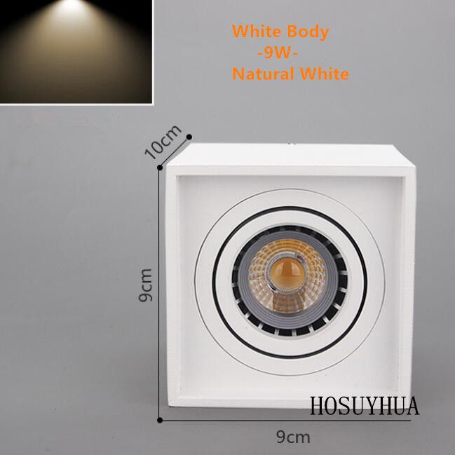White-9W- Natural White
