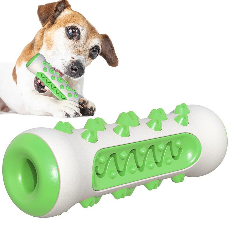 Green Dog Toy