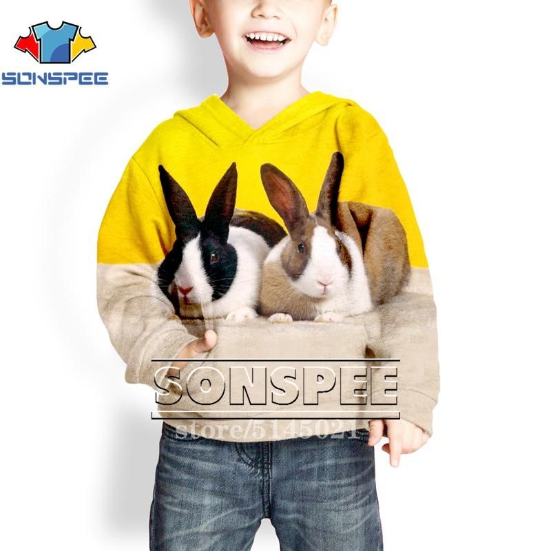 Acheter Sonspee 3d Imprimer Harajuku Anime Enfant Sweat Capuche Bebe Garcon Casual Streetwear Vetements Pour Enfants Sweat A Capuche Mode G02 De 25 8 Du Loral Fr Dhgate Com