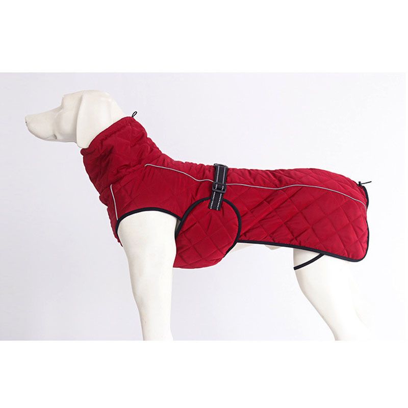 Vêtements de chien rouge