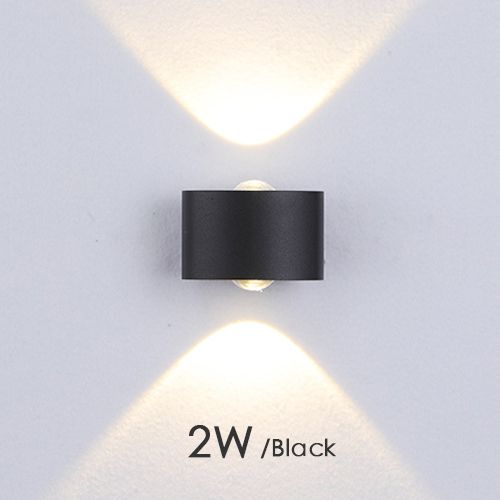 2W-black-white light