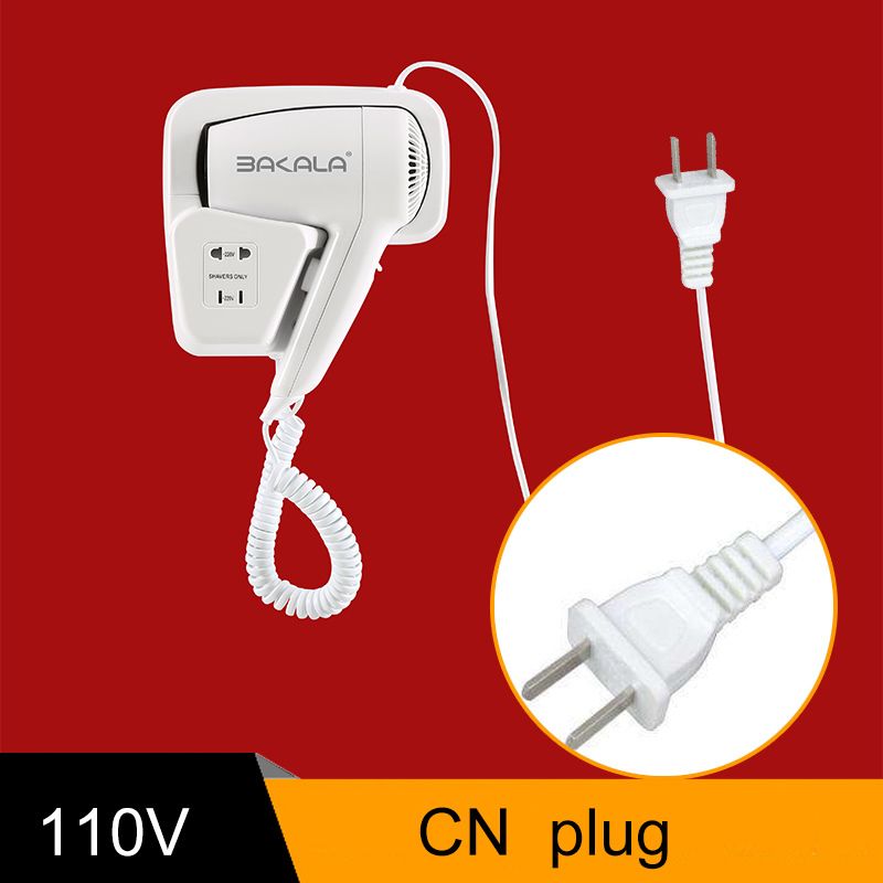 110V CN plug