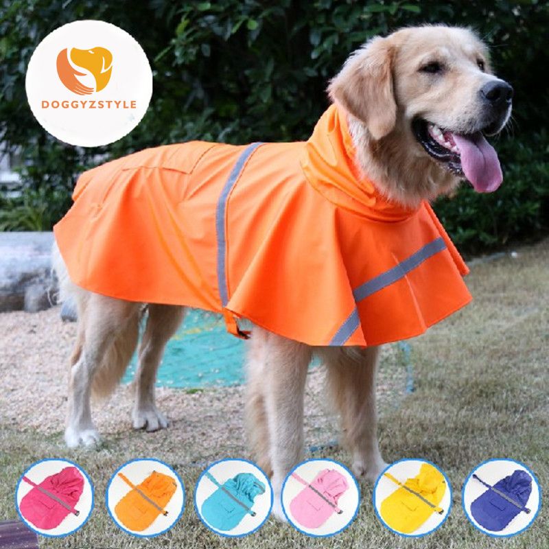 Raincoat for sales labrador retriever