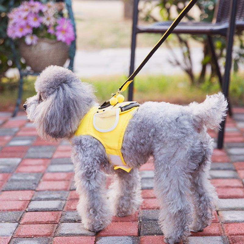cute dog backpack harness