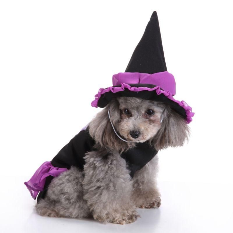 Disfraces de bruja de halloween para perros, disfraces de la bruja de Halloween, Cosplay de mascotas Disfraces de bruja de halloween para perros, disfraces de la bruja de Halloween, Cosplay de mascotas