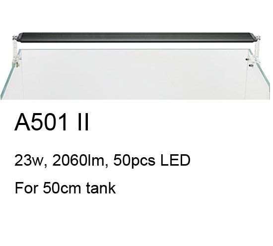 A501.