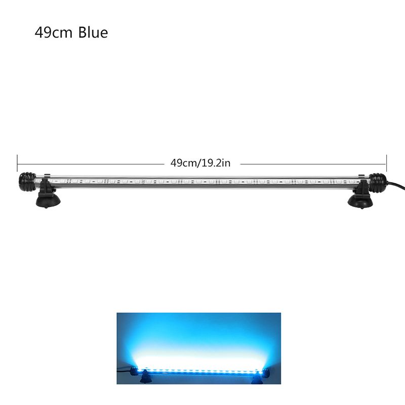 49 centimetri blu e bianco