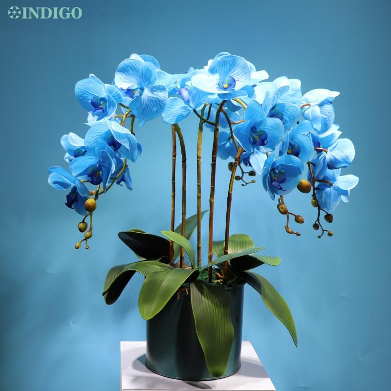 Indigo - (5 orquídeas + 3 hojas + olla) Orquídeas azules DIY Disposición de  flores Real Touch