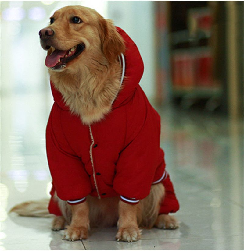 roupas de cachorro vermelho