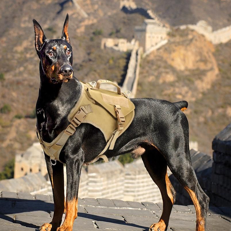 Militar Dog Harness Chaleco Capacitación perro Caza Molle Chaleco para Pastor alemán K9 Chaleco