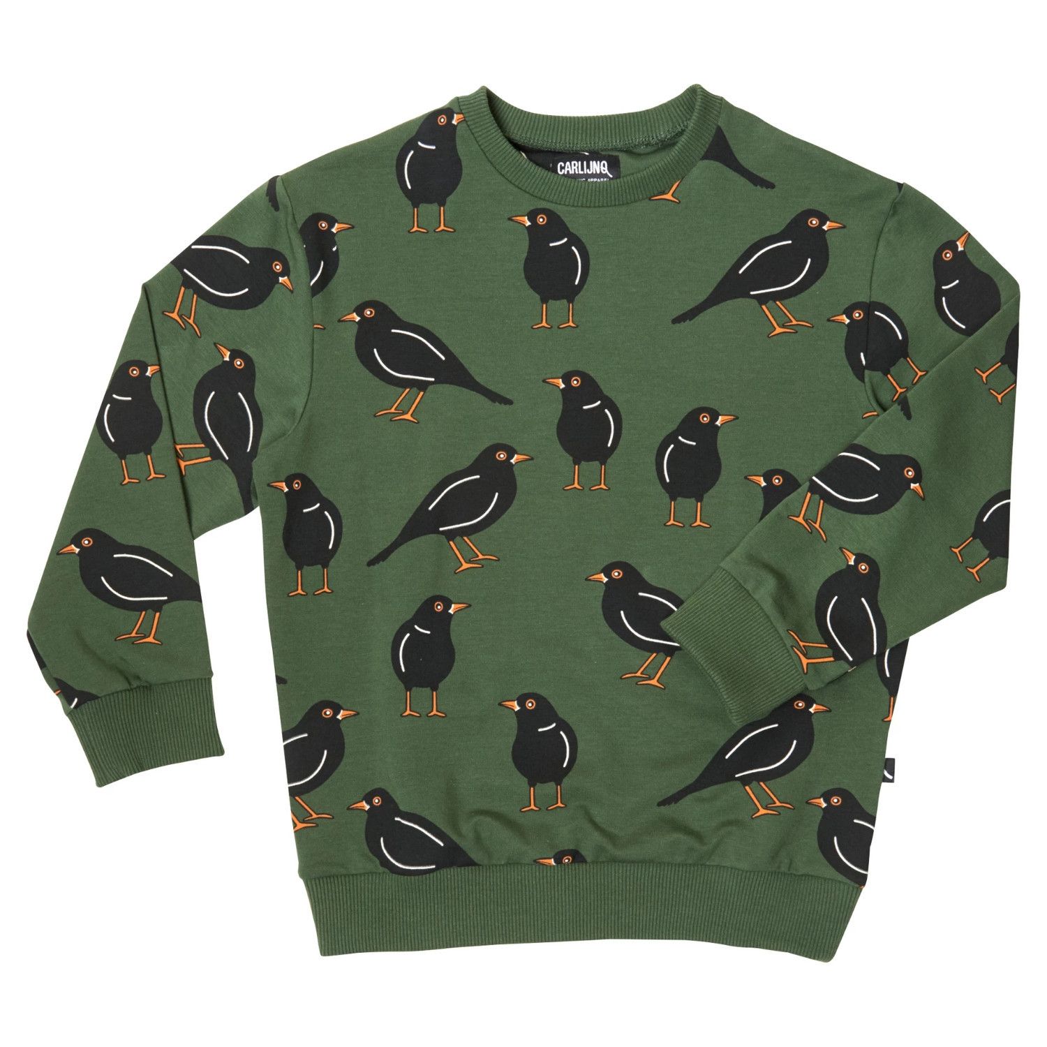 Зеленый птичий свитер