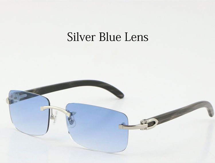 Silver Blue Lens