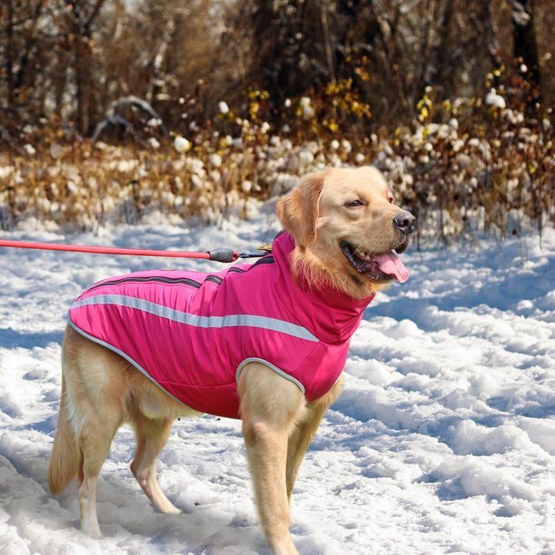 Ropa de perro grande para perros invierno mascota grande perro abrigo chaqueta chaleco ropa para grandes grandes golden retriever sqcicv