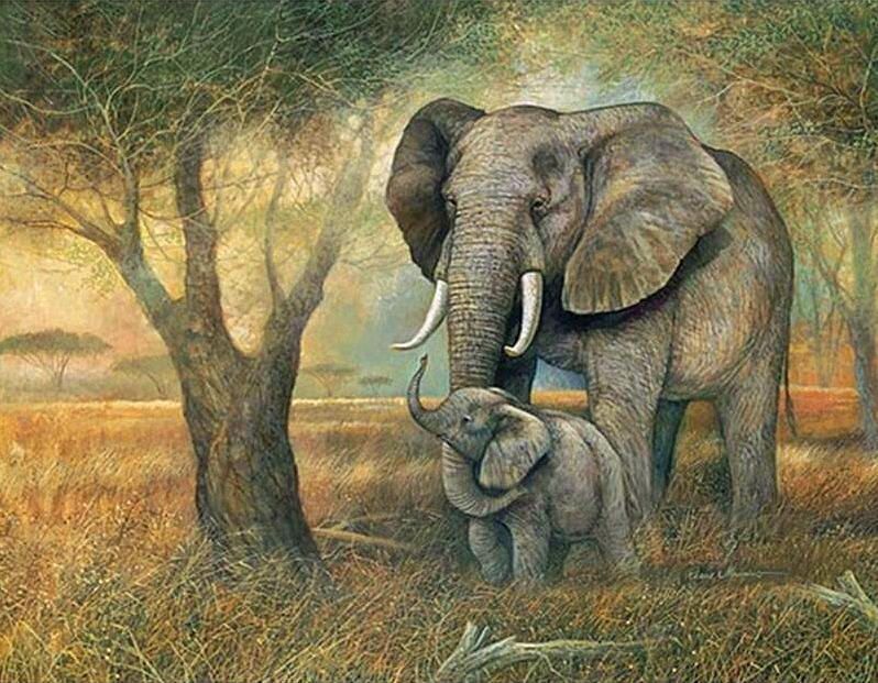 Elefant 7.