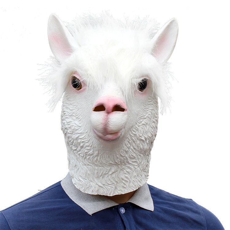 alpaca