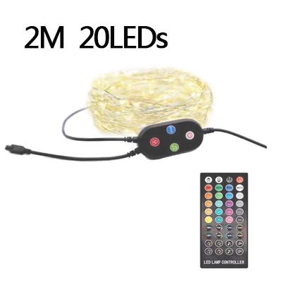 2m 20leds