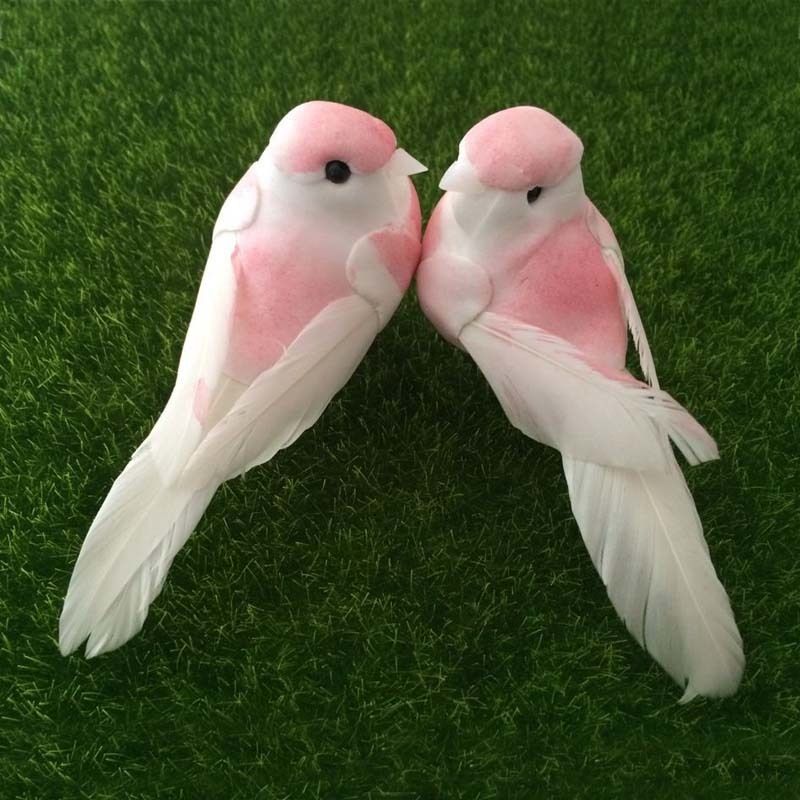 Pink Love Bird Images