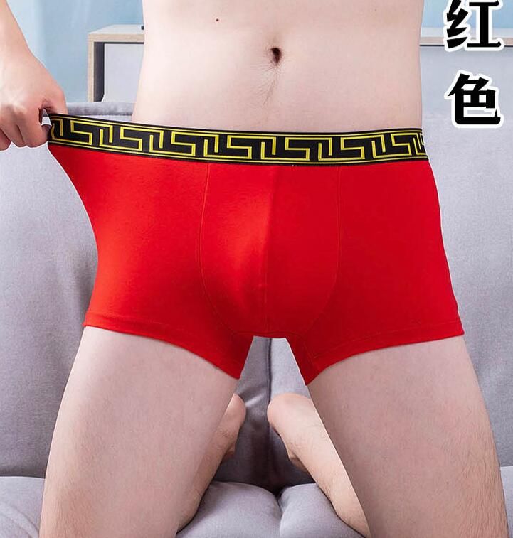 magnetic boxer shorts