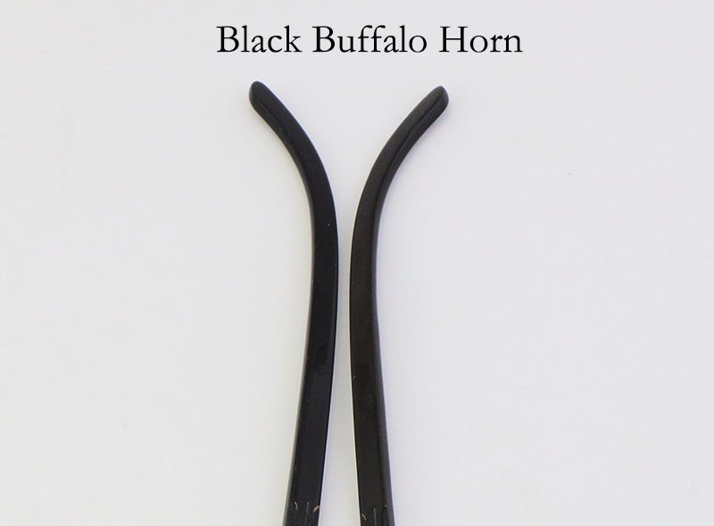 Black Buffalo Horn