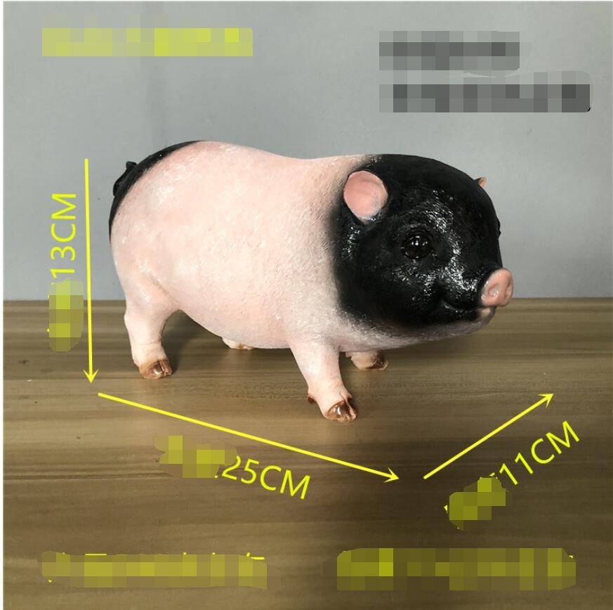 Mini cochon 2