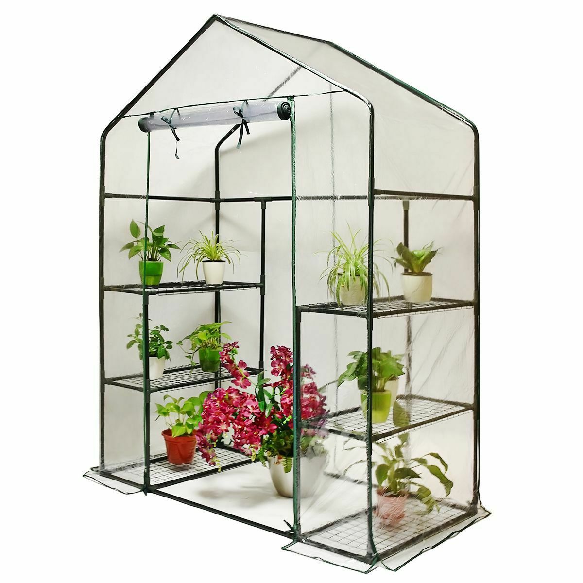 2021 NEW Quictent 56x29x77 6 Shelves 3 Tiers Mini Greenhouse Outdoor