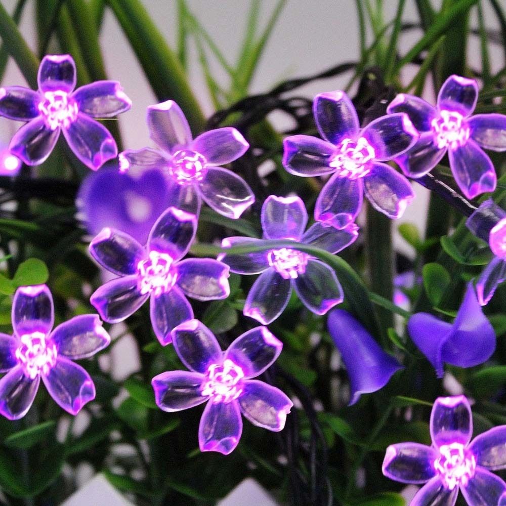 Violet-7M 50 LEDs