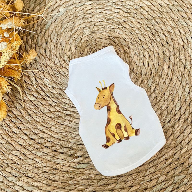 Giraffa bianca