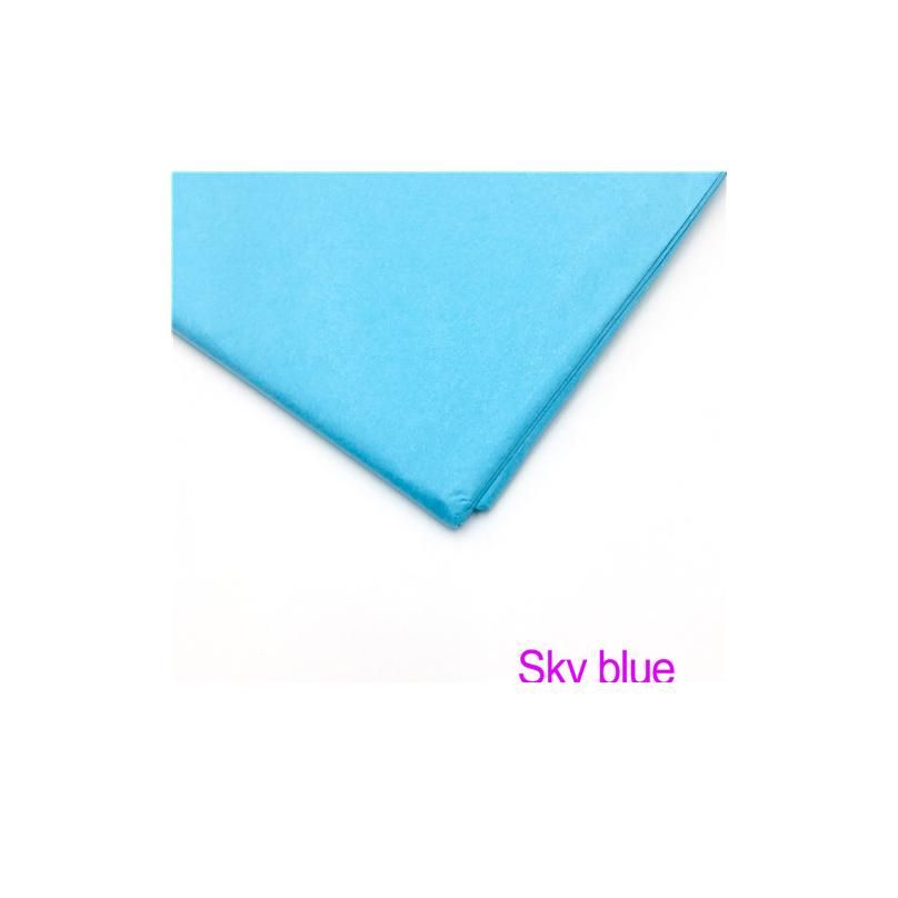 Sky Blue_200006155.