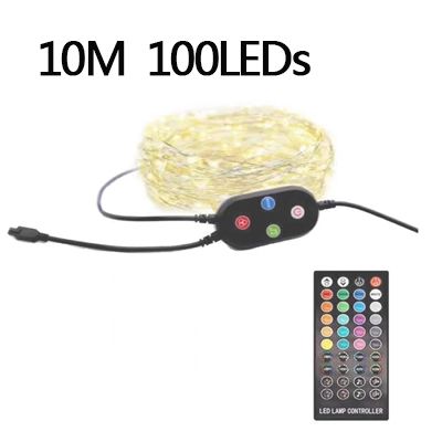 10m 100leds