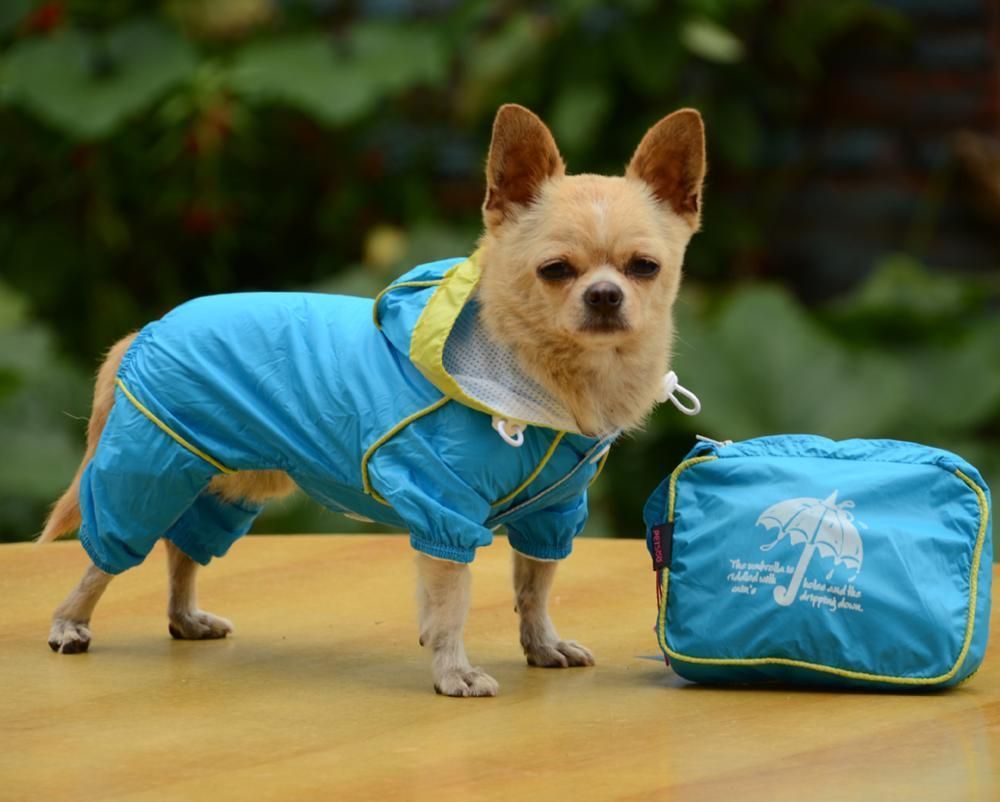 Chaqueta de sudadera capucha de perro pequeña recubrimiento de lluvia impermeable ropa de vestimenta de vestimenta para perros para perros pequeños chicas y200917