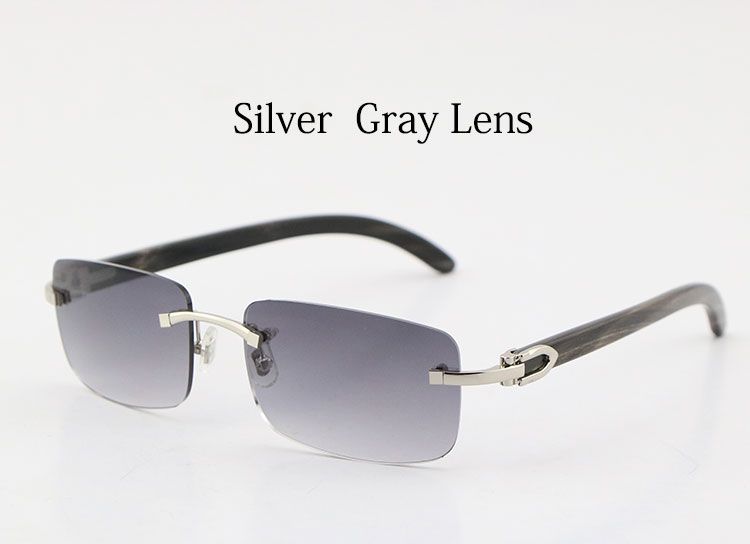 Silver Gray Lens