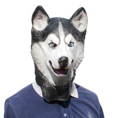 husky1.