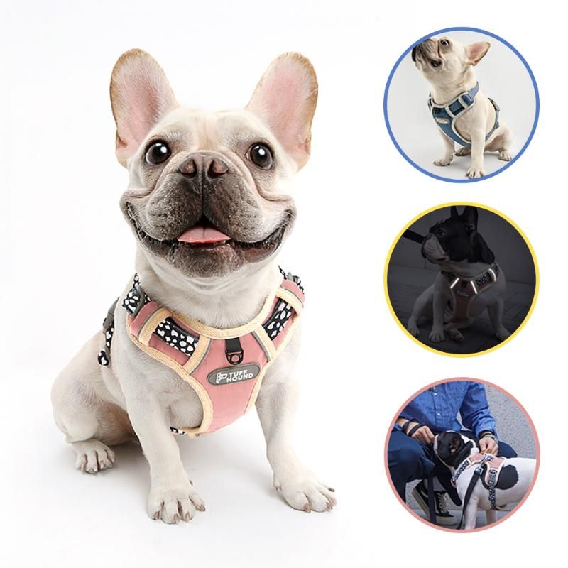 cute large dog harness