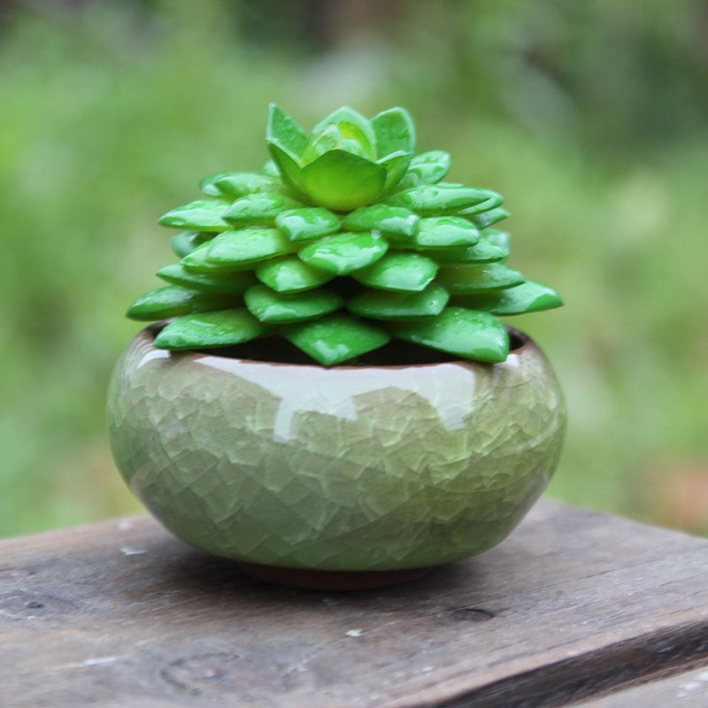 2021 Ice Cracked Ceramics Garden Pot Breathable Mini Planters For Home