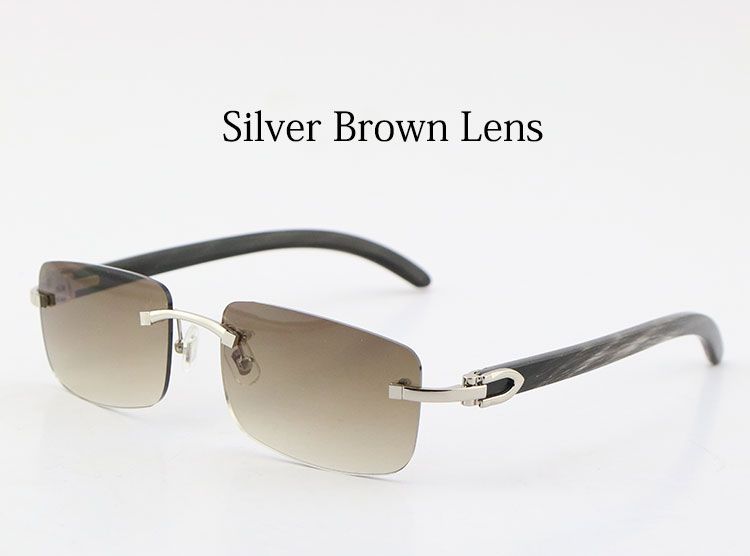 Silver Brown Lens