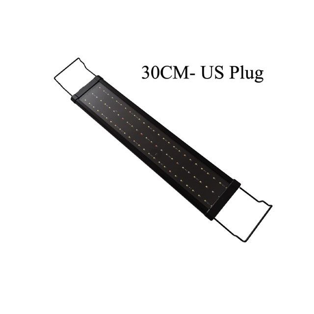 30 centimetri-us Plug